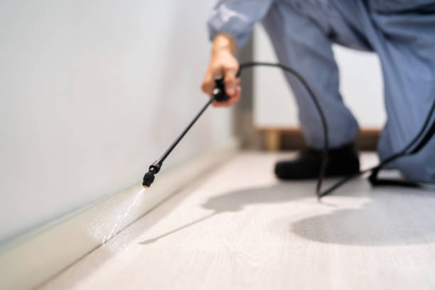 Bed Bug Pre-Treatment Preparation Assessment in Wickes