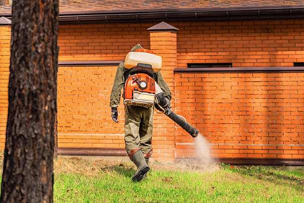 Bed Bug Clearance Verification and Documentation in Wickes